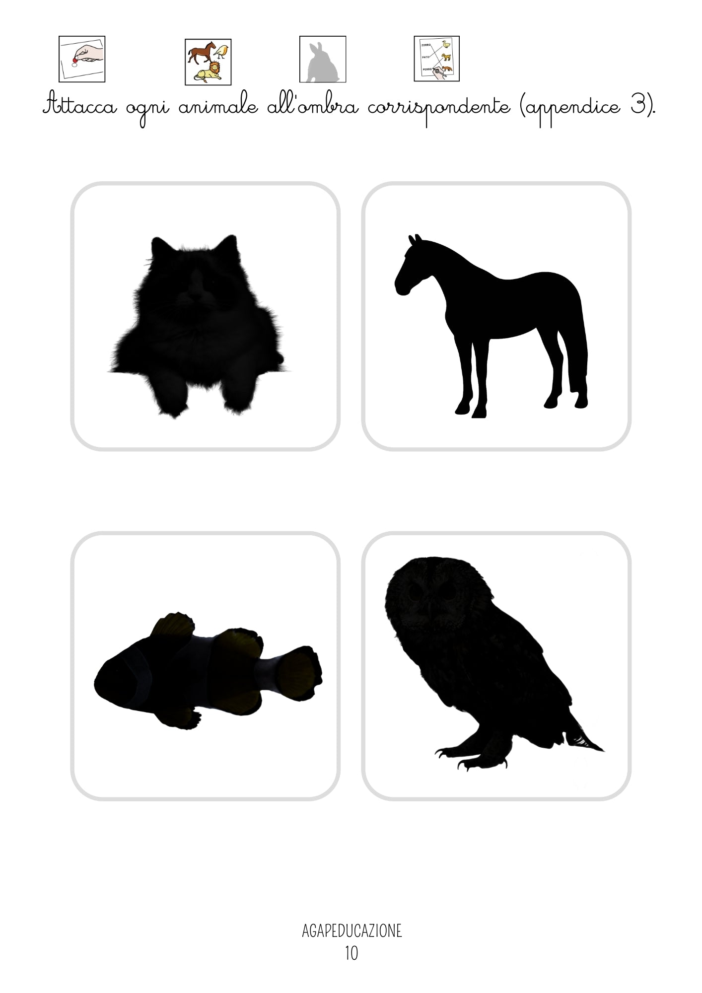 🧸 Il mio libro di attività – Prepariamoci alla scuola materna (con CAA)